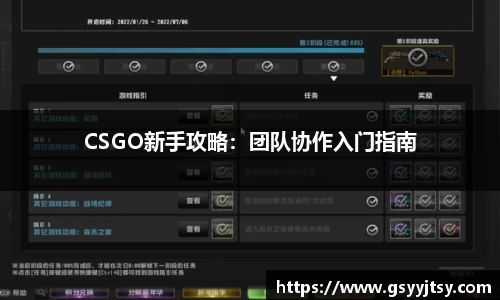 CSGO新手攻略：团队协作入门指南